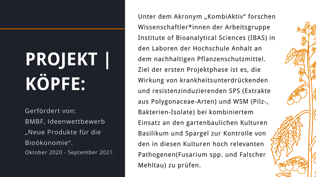 Grafik KAT Projektdarstellung Bioanalytik trifft Pflanzenschutz HS Anhalt 2021_4