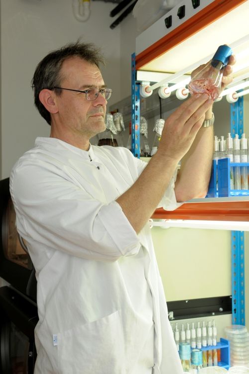 Algen-Biotechnologie Laborant untersucht Algen im Reagenzglas