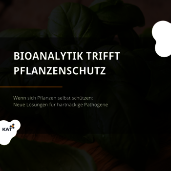 Grafik KAT Projektdarstellung Bioanalytik trifft Pflanzenschutz HS Anhalt